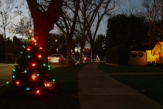 20141224-christmas-tree-lane